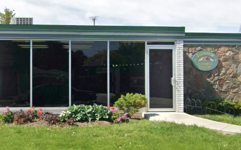 Fairview Animal Clinic