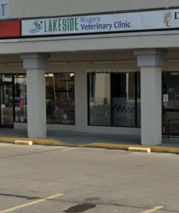Lakeside Niagara Veterinary Clinic