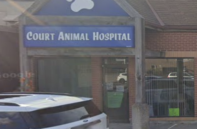 Court Animal Hospital