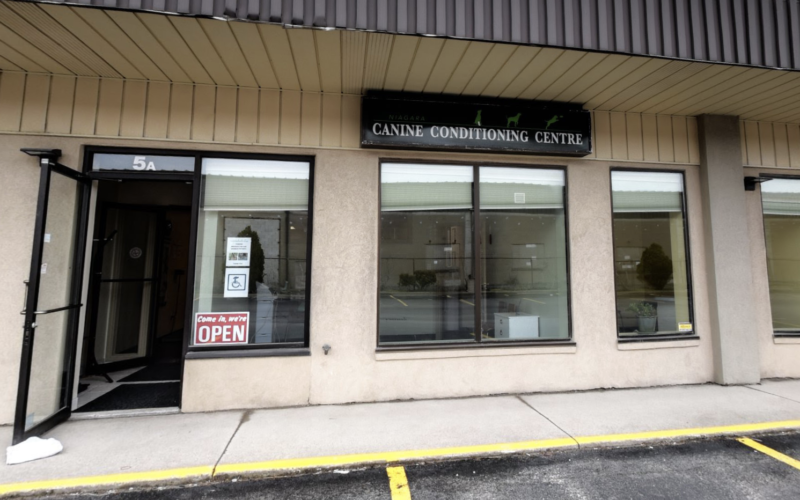 Niagara Canine Conditioning Centre