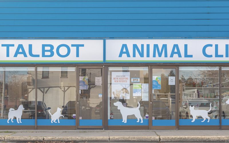 Talbot Animal Clinic