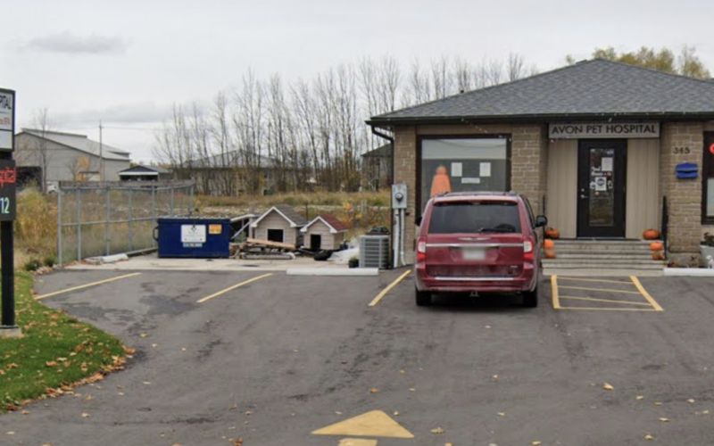 Avon Pet Hospital