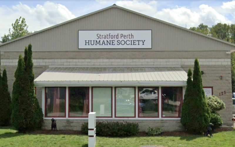 Spay Neuter Clinic at the Stratford Perth Humane Society