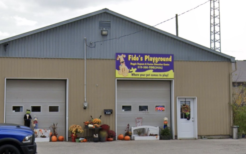 Fido's Playground