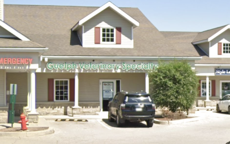 Guelph Veterinary Specialty Hospital