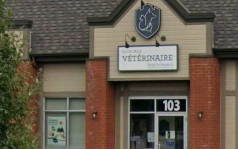 Clinique Vétérinaire Passionimo Anne-Le Seigneur