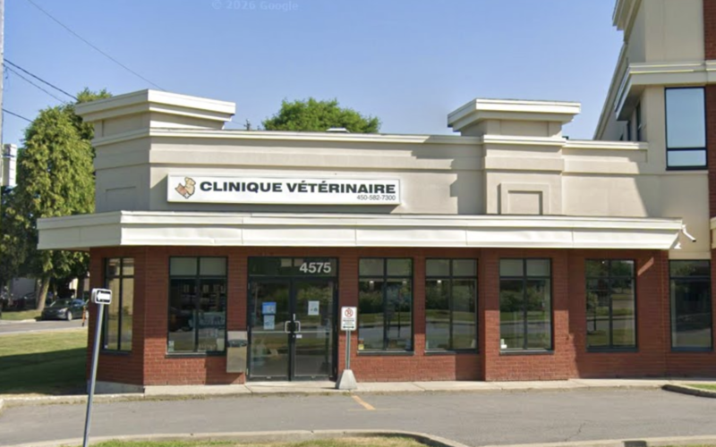 Clinique Vétérinaire De Lachenaie Inc.