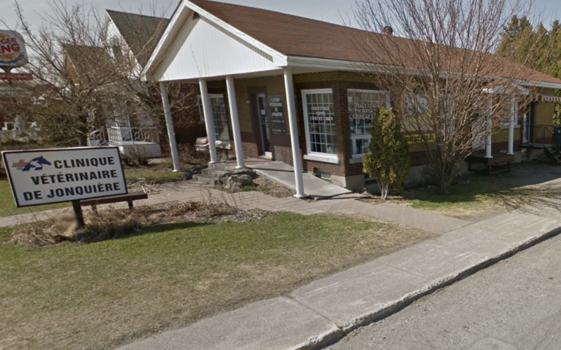 Clinique Vétérinaire Jonquière