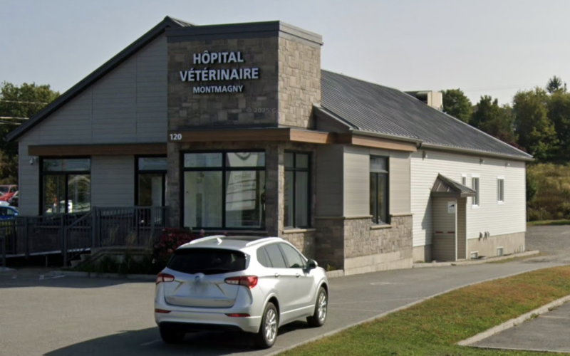 Hôpital Vétérinaire Montmagny