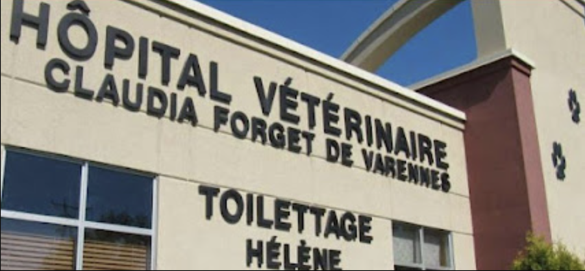 Hôpital vétérinaire Anima-Plus Varennes