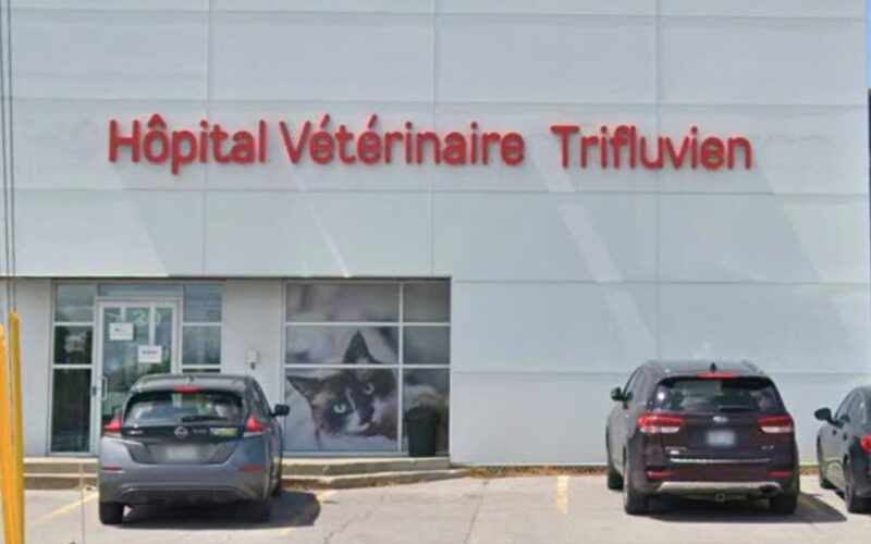 Veterinary Hospital Trifluvien inc.