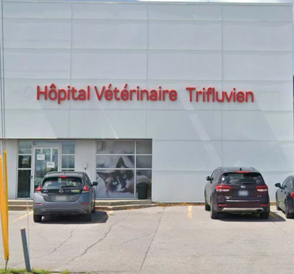 Veterinary Hospital Trifluvien inc.