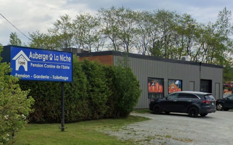 Auberge La Niche - Pension Canine de l'Estrie