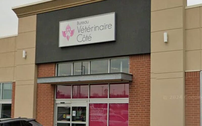 Bureau Vétérinaire Côté - Vet et Nous