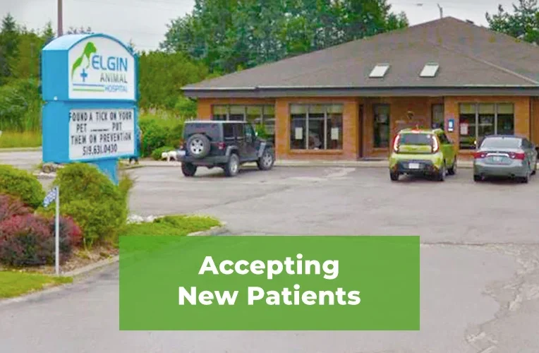 Elgin Animal Hospital