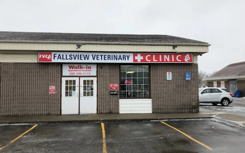 Fallsview Veterinary Clinic