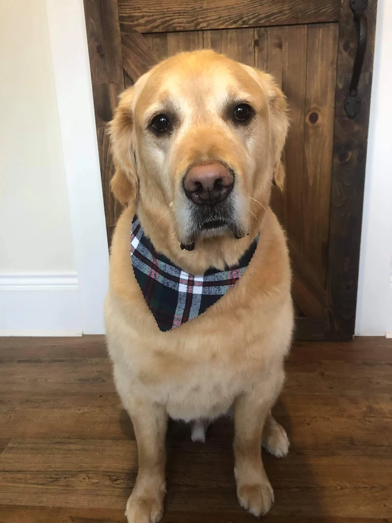 Farm 58 - Pet Grooming & Care