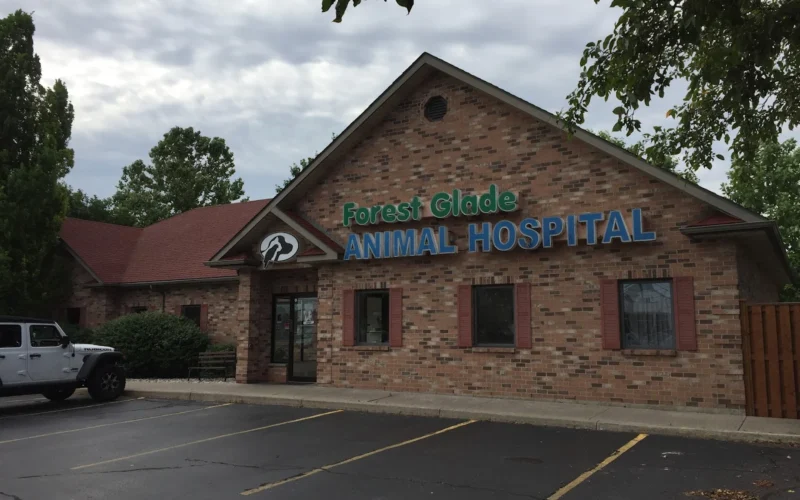 Forest Glade Animal Hospital