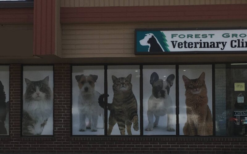 Forest Grove Veterinary Clinic