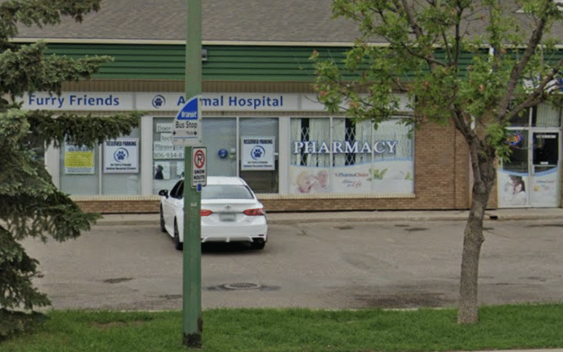 Furry Friends Animal Hospital