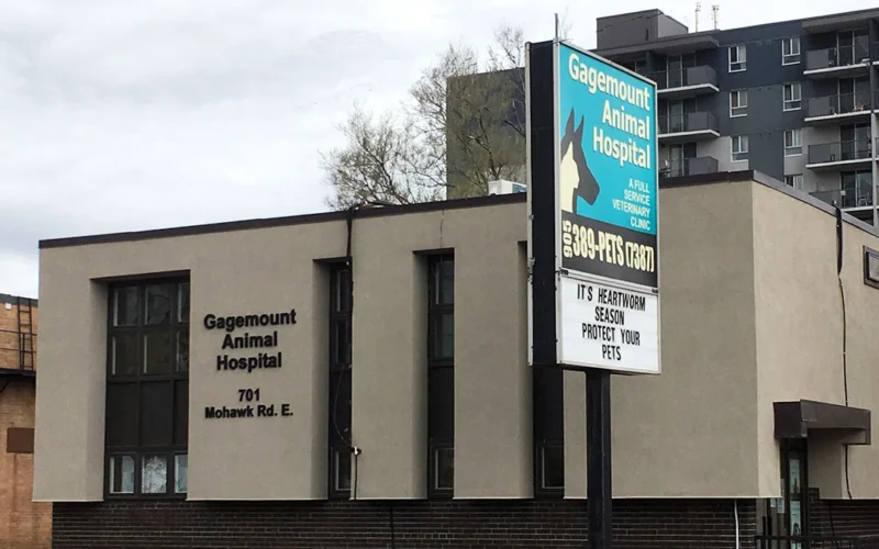 Gagemount Animal Hospital