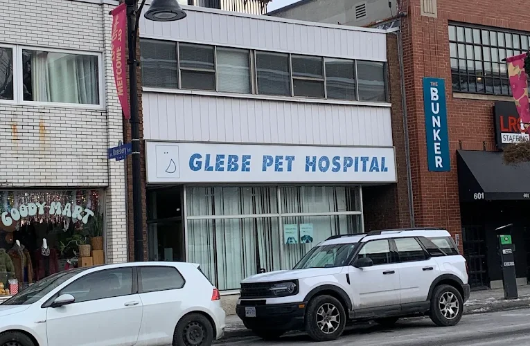 Glebe Pet Hospital