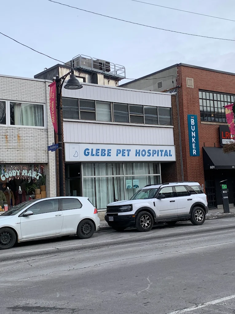 Glebe Pet Hospital