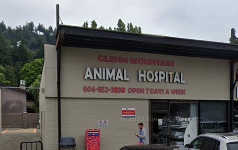 Glenn Mountain Animal Hospital