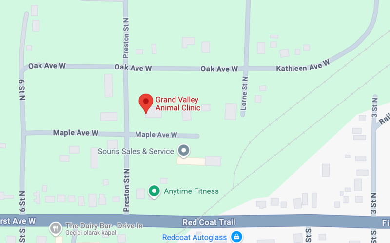 Grand Valley Animal Clinic