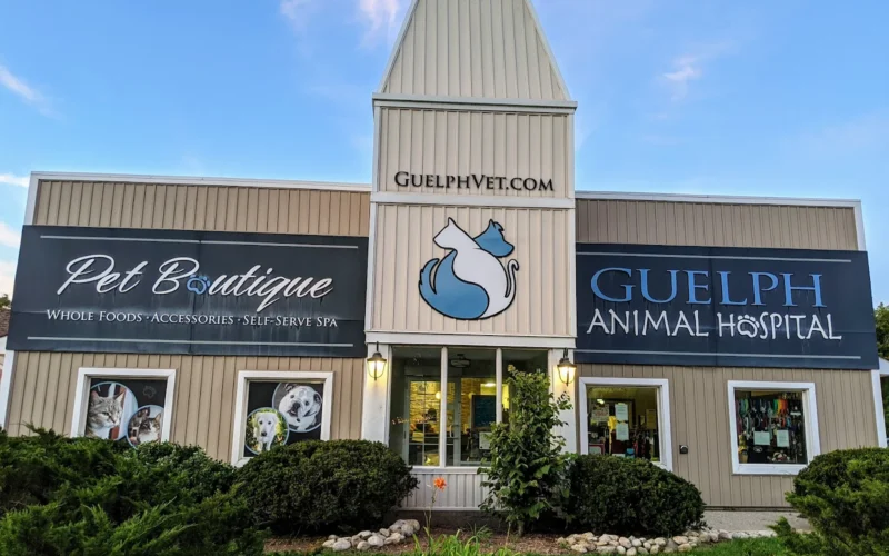 Guelph Animal Hospital
