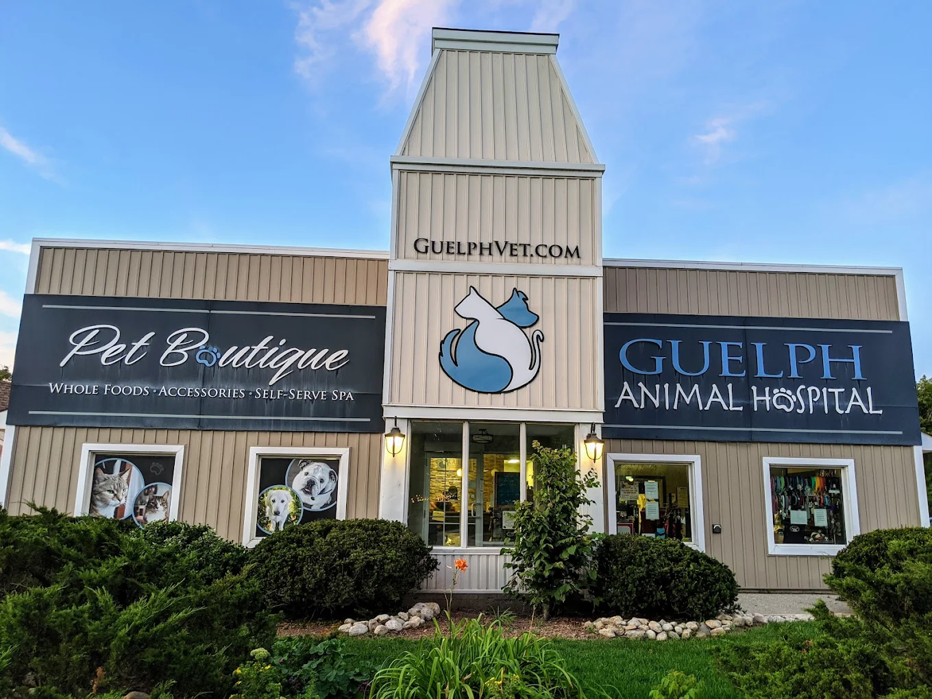 Guelph Animal Hospital