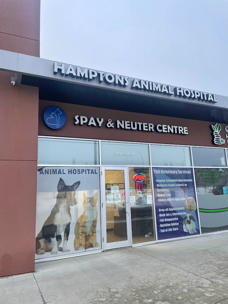 Hamptons Animal Hospital / Spay & Neuter Centre