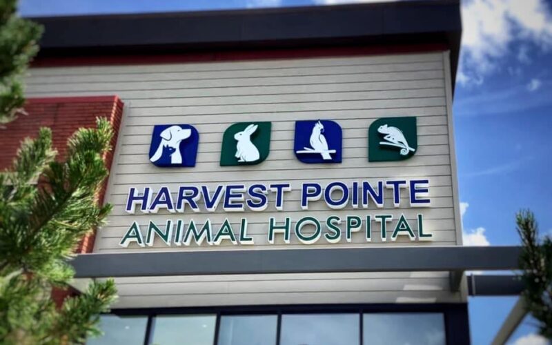 Harvest Pointe Animal Hospital