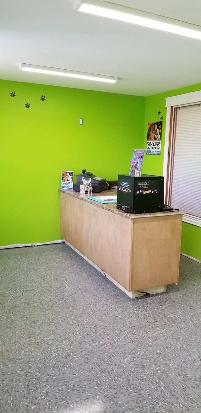 Head 2 Tails Pet Grooming