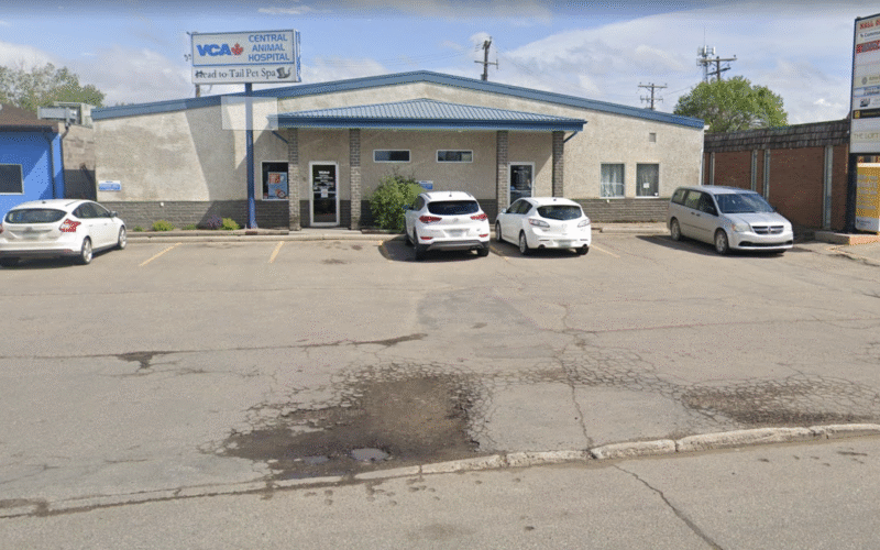 Head To Tail Pet Spa