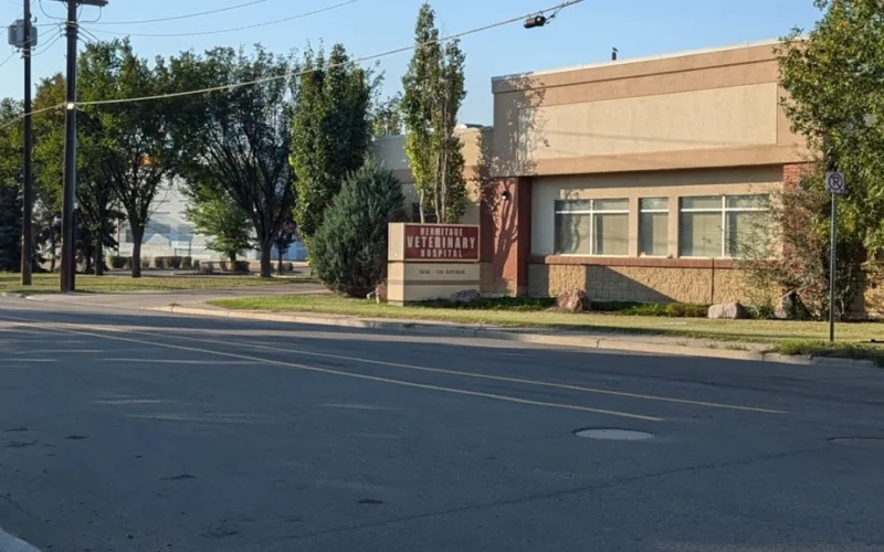 Hermitage Veterinary Hospital