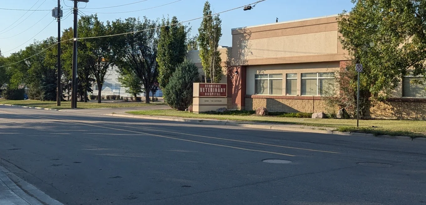 Hermitage Veterinary Hospital