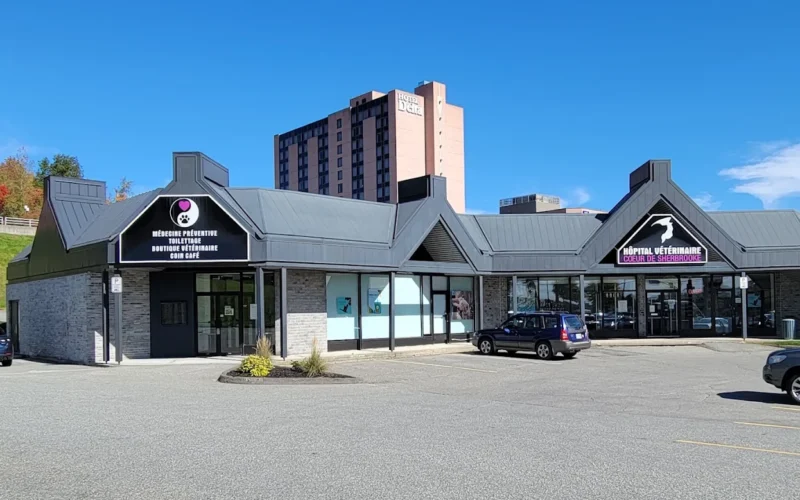 Hopital Vétérinaire Coeur de Sherbrooke