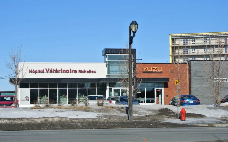 Hôpital Vétérinaire du Richelieu inc.