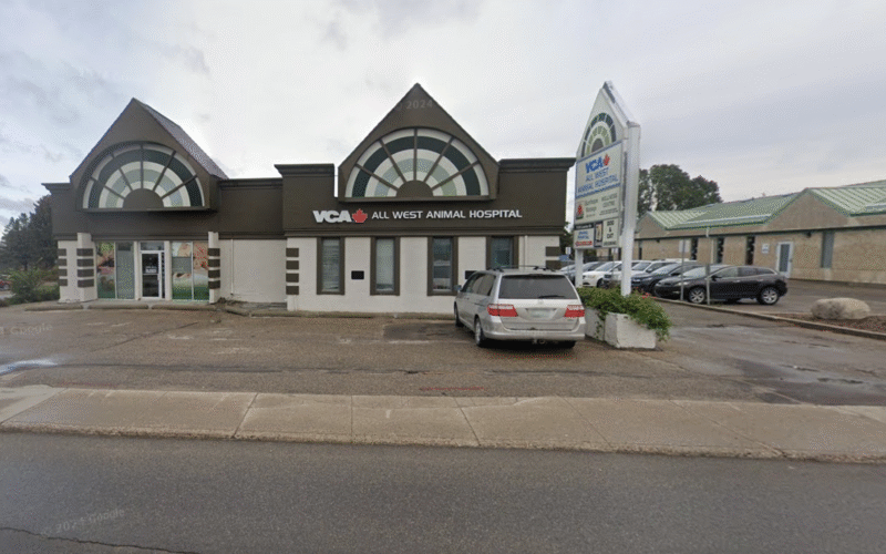 Innovative Veterinary Management Sys