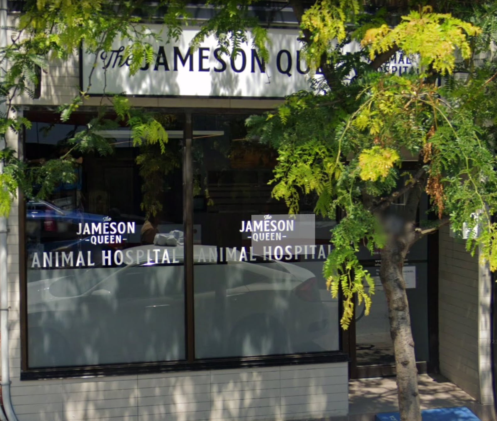 Jameson Queen Animal Hospital