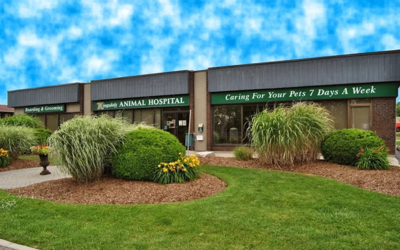 Kingsdale Animal Hospital