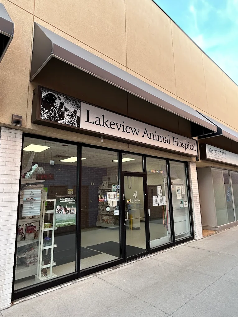 Lakeview Animal Hospital