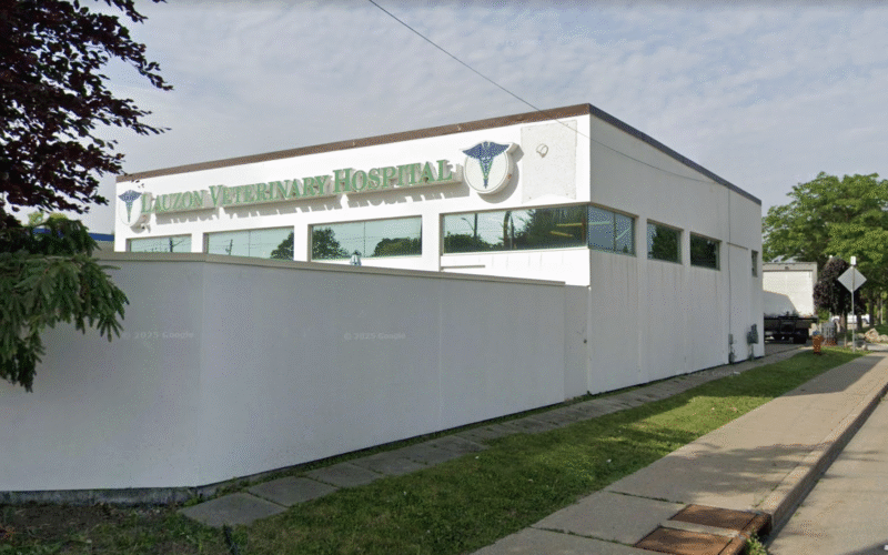 Lauzon Veterinary Hospital