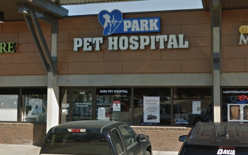 Park Pet Hospital Park Pet Hospital