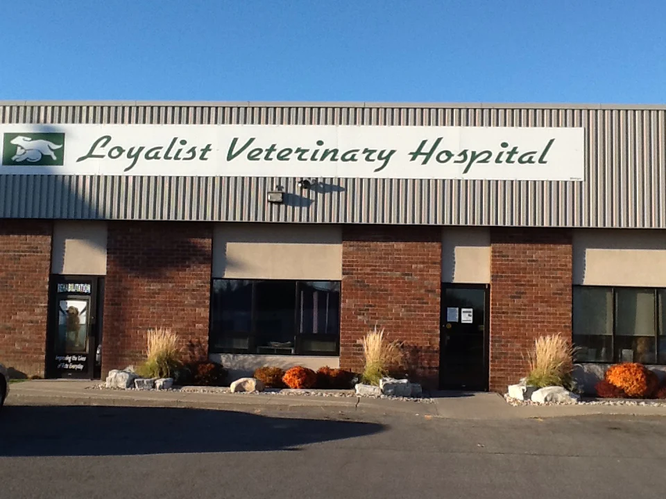 Loyalist Veterinary Hospital