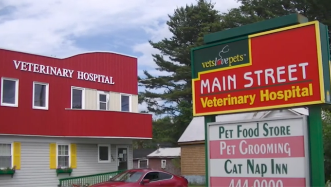 Main Street Veterinary Hospital Inc