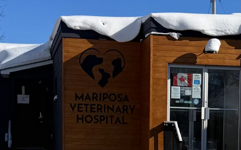 Mariposa Veterinary Hospital