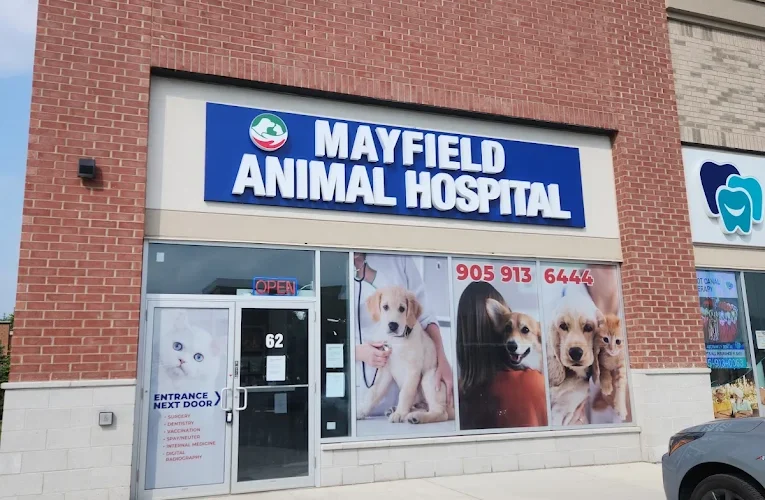 Mayfield Animal Hospital