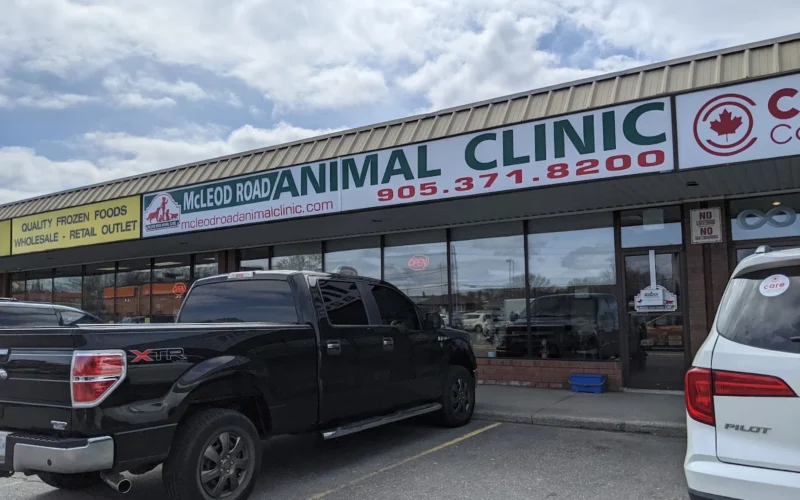 Mcleod Road Animal Clinic